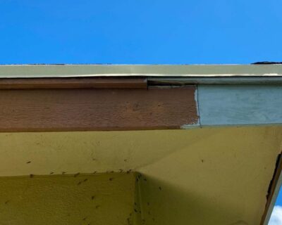 3 Signs You Need A New Roof